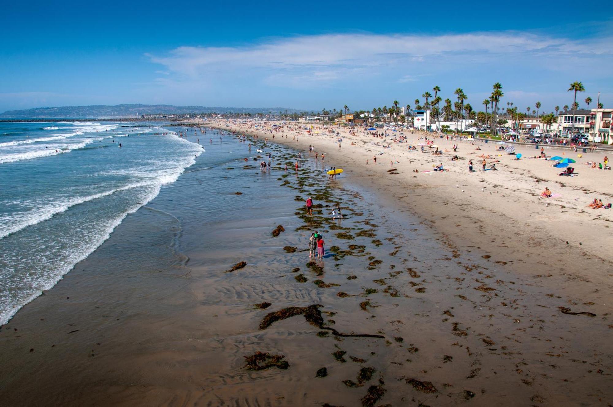 Modern Ocean Beach Apartment San Diego Exteriör bild